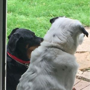 Meet your Posher, Jackie